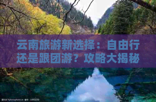 云南旅游新选择：自由行还是跟团游？攻略大揭秘！