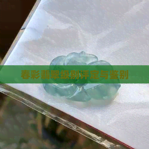 春彩翡翠级别评定与鉴别