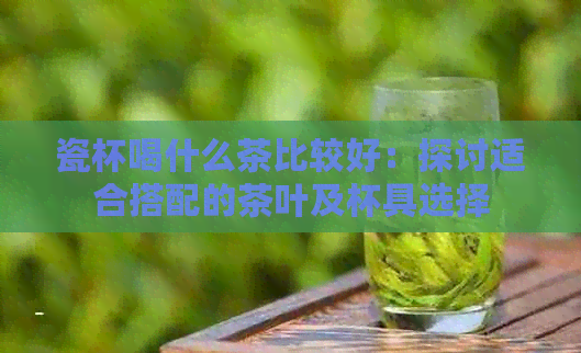 瓷杯喝什么茶比较好：探讨适合搭配的茶叶及杯具选择