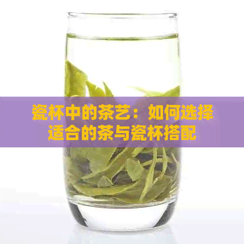 瓷杯中的茶艺：如何选择适合的茶与瓷杯搭配