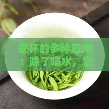 瓷杯的多种应用：除了喝水，它还可以用来做什么？