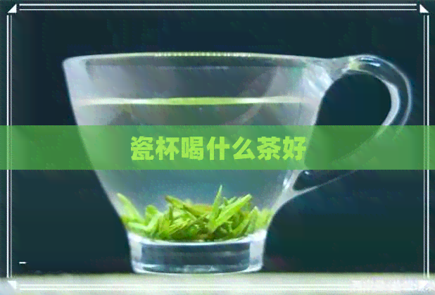 瓷杯喝什么茶好