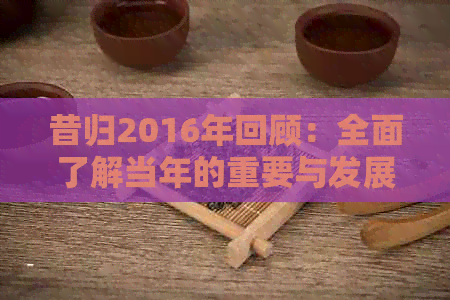 昔归2016年回顾：全面了解当年的重要与发展趋势