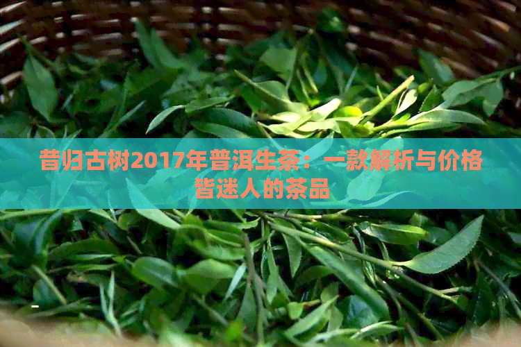 昔归古树2017年普洱生茶：一款解析与价格皆迷人的茶品