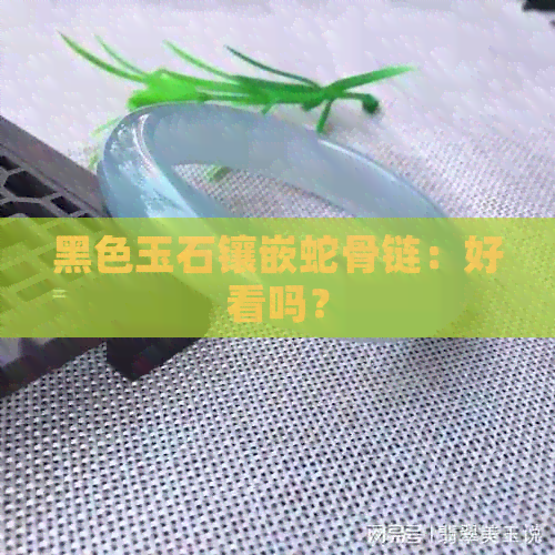 黑色玉石镶嵌蛇骨链：好看吗？