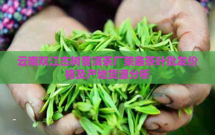 云南双江古树普洱茶厂荣鑫茶叶批发价格及产地货源分析