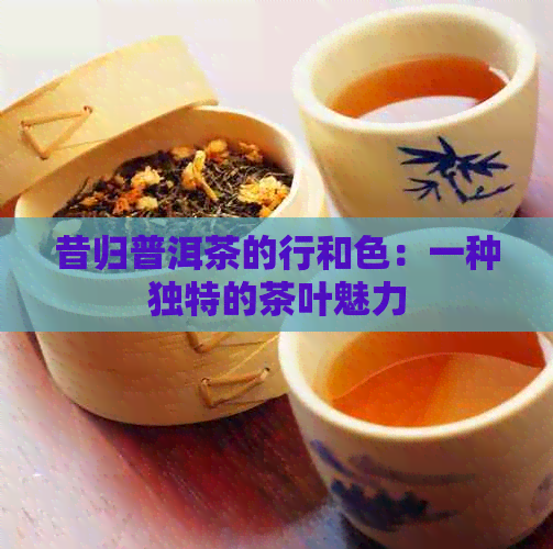 昔归普洱茶的行和色：一种独特的茶叶魅力