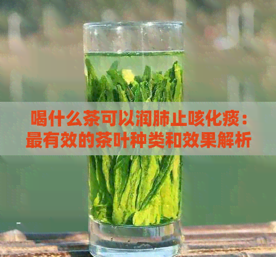 喝什么茶可以润肺止咳化痰：最有效的茶叶种类和效果解析