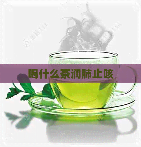 喝什么茶润肺止咳