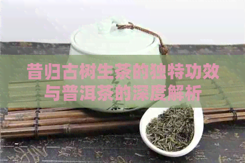 昔归古树生茶的独特功效与普洱茶的深度解析