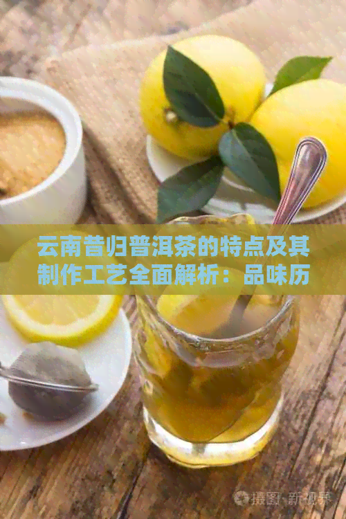 云南昔归普洱茶的特点及其制作工艺全面解析：品味历与文化的完美融合