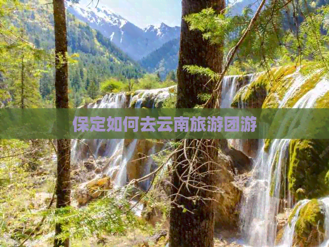 保定如何去云南旅游团游