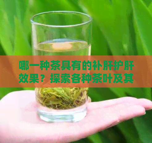 哪一种茶具有的补肝护肝效果？探索各种茶叶及其对肝脏健的益处。