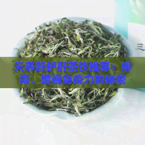 天养肝护肝茶饮推荐：排、增强免疫力的秘密武器