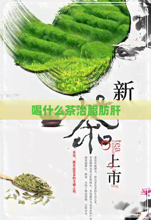 喝什么茶治脂肪肝