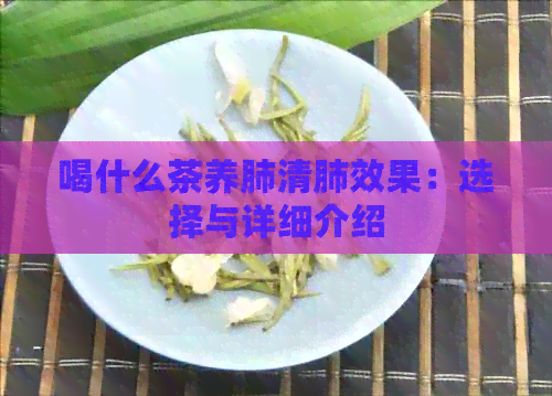 喝什么茶养肺清肺效果：选择与详细介绍