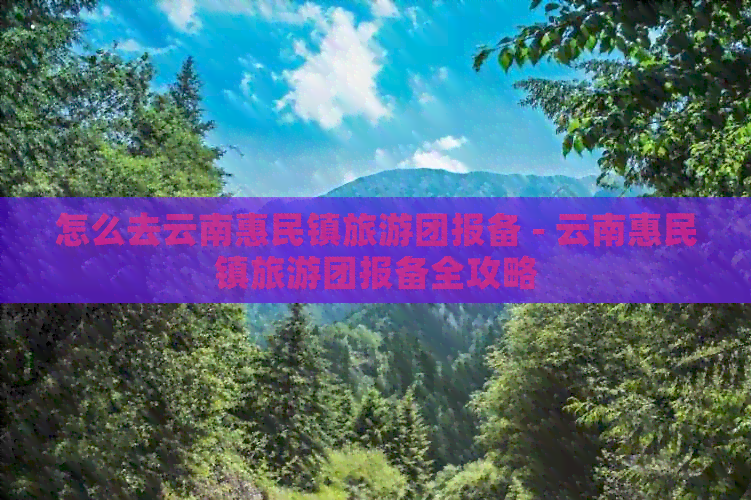 怎么去云南惠民镇旅游团报备 - 云南惠民镇旅游团报备全攻略