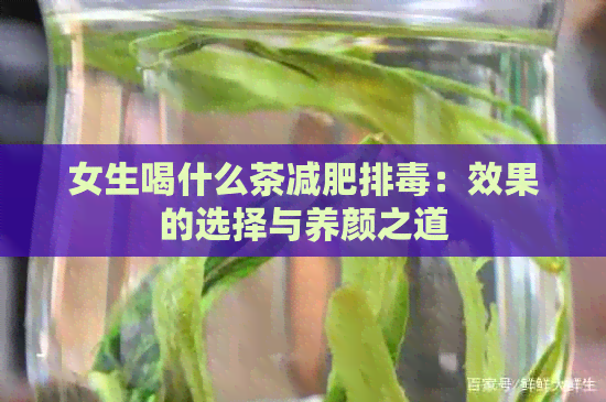 女生喝什么茶减肥排：效果的选择与养颜之道