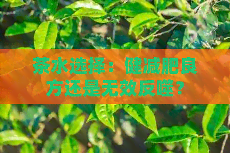 茶水选择：健减肥良方还是无效反噬？