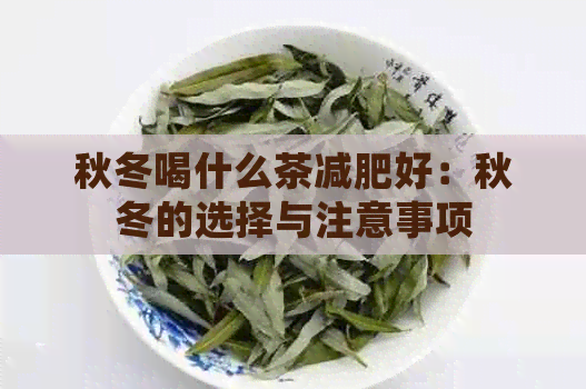 秋冬喝什么茶减肥好：秋冬的选择与注意事项