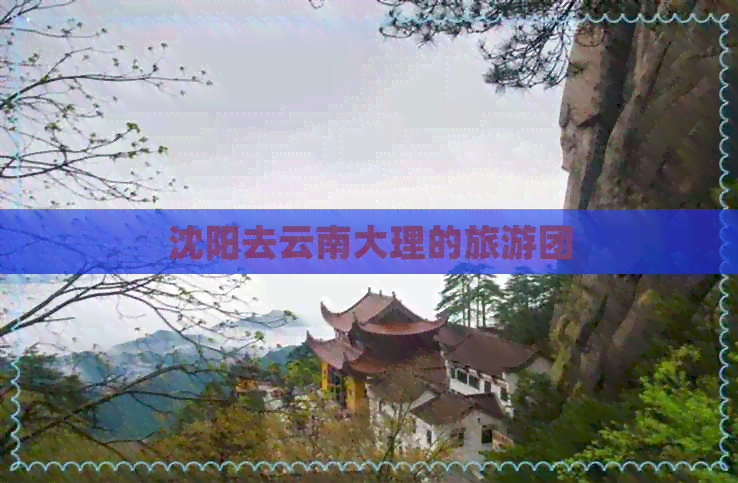 沈阳去云南大理的旅游团