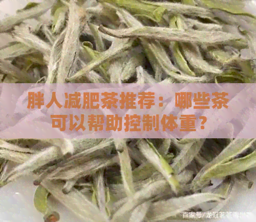 胖人减肥茶推荐：哪些茶可以帮助控制体重？