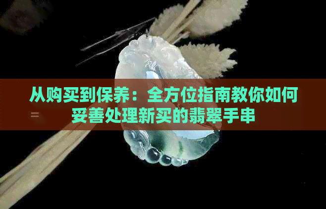 从购买到保养：全方位指南教你如何妥善处理新买的翡翠手串