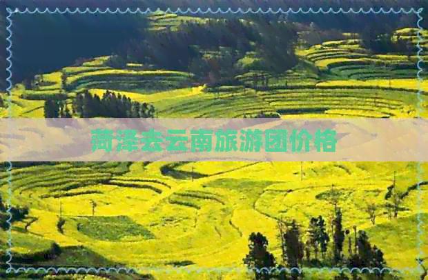 菏泽去云南旅游团价格