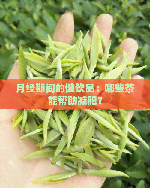 月经期间的健饮品：哪些茶能帮助减肥？