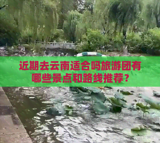 近期去云南适合吗旅游团有哪些景点和路线推荐？