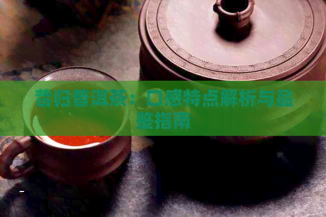 昔归普洱茶：口感特点解析与品鉴指南