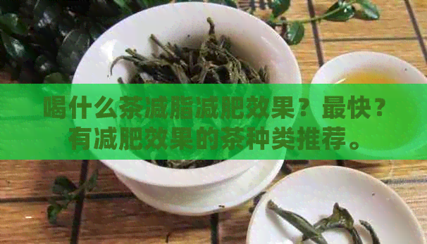 喝什么茶减脂减肥效果？最快？有减肥效果的茶种类推荐。