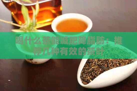 喝什么茶能减肥降脂肪：推荐几种有效的茶叶