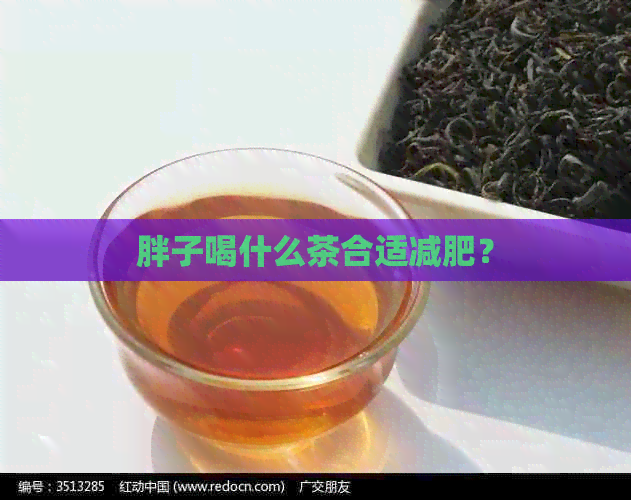 胖子喝什么茶合适减肥？