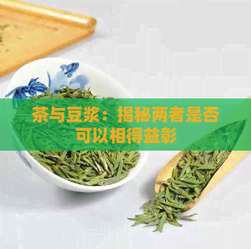 茶与豆浆：揭秘两者是否可以相得益彰