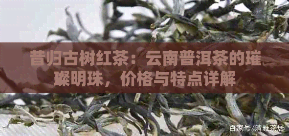 昔归古树红茶：云南普洱茶的璀璨明珠，价格与特点详解