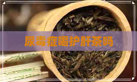 尿症喝护肝茶吗