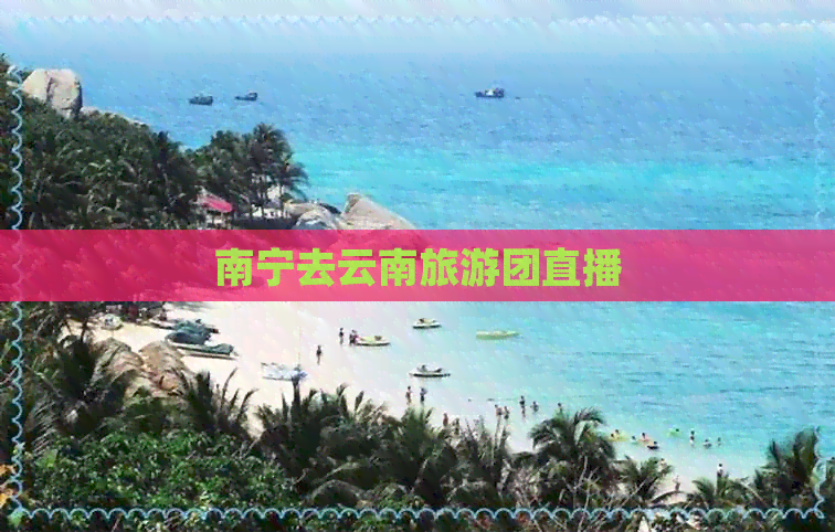 南宁去云南旅游团直播