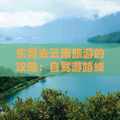 东莞去云南旅游的攻略：自驾游路线全解析