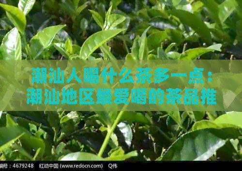 潮汕人喝什么茶多一点：潮汕地区更爱喝的茶品推荐