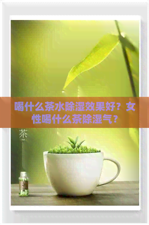 喝什么茶水除湿效果好？女性喝什么茶除湿气？