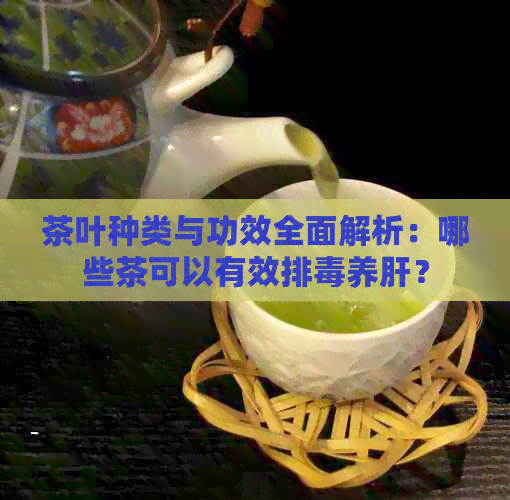 茶叶种类与功效全面解析：哪些茶可以有效排养肝？