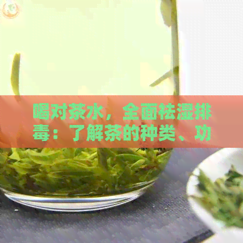 喝对茶水，全面祛湿排：了解茶的种类、功效与饮用方法，打造健体质