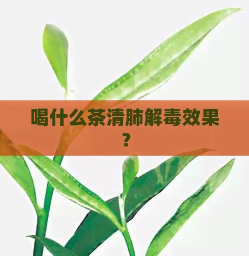 喝什么茶清肺解效果？