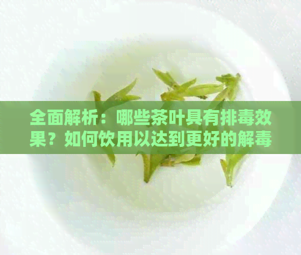 全面解析：哪些茶叶具有排效果？如何饮用以达到更好的解效果？