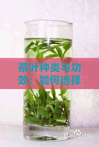 茶叶种类与功效：如何选择具有排效果的健饮品