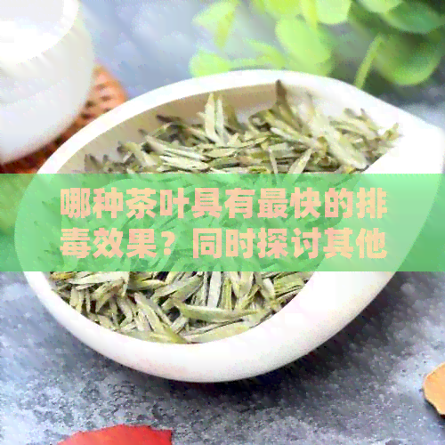 哪种茶叶具有最快的排效果？同时探讨其他喝茶的好处和注意事项