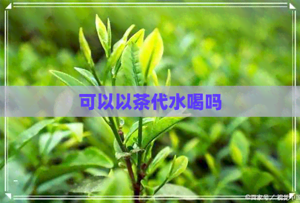 可以以茶代水喝吗