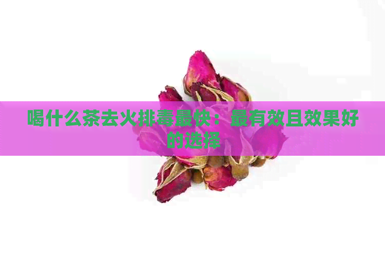 喝什么茶去火排最快：最有效且效果好的选择