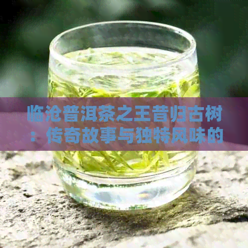 临沧普洱茶之王昔归古树：传奇故事与独特风味的完美结合